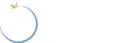 BluVisa